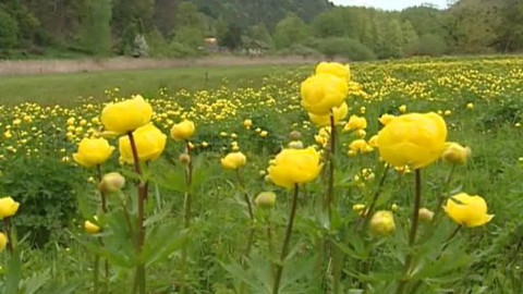 Nedej se! - Čerpání vody