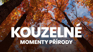 Kouzelné momenty přírody
