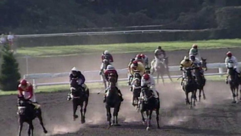 Velká pardubická - 2001