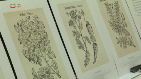 Zprávičky - 23. února 2018