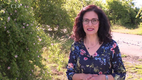 Křesťanský magazín - 12. června 2022