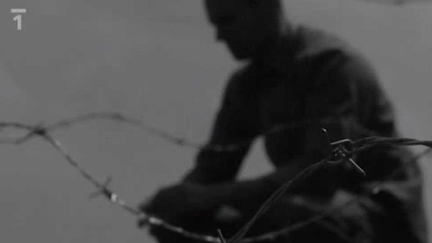 Přísně tajné vraždy - Kulka místo svobody