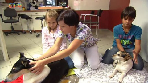 Náš zvěřinec - Náš pes se má