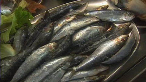 Postřehy odjinud - Portugalsko očima Jaroslava Skalického