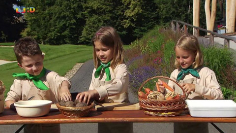 Draci v hrnci - Zeleninové hranolky, pro kluky i pro holky