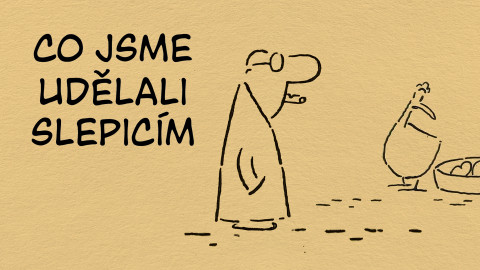 Co jsme udělali slepicím