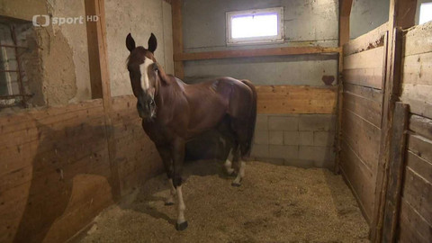 Velká pardubická - Před Velkou pardubickou