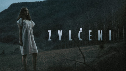 Zvlčeni