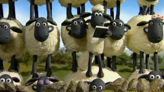 Ovečka Shaun