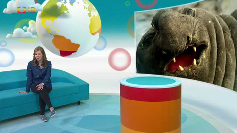 Zprávičky - 17. ledna 2018