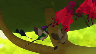 Leo, strážce přírody