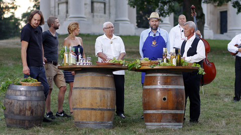 Vínečko - Vinice Kotel