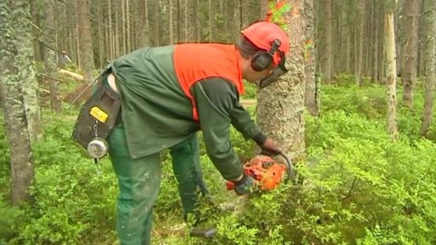 Černé ovce - 24. září 2013