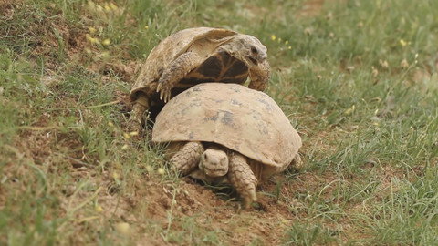 Chcete mě? - 6. května 2018