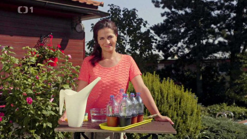 Všechno, co mám ráda - Epizoda 36/15