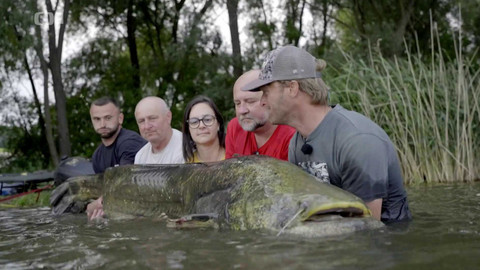 Týden v regionech (Brno) - 29. června 2024