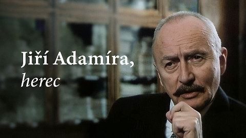 Jiří Adamíra, herec