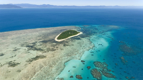 Přírodní mikrosvěty - Velký bariérový útes