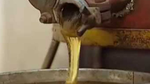 Přidej se - Včely III.