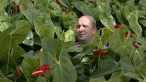 Jak se žije... - Jak se žije zahradníkům podle Galima Kajumova