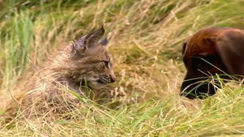 Madla a Ťap - 6/13 Jak byli u řeky