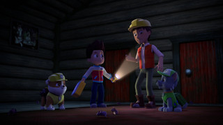 Tlapková patrola II