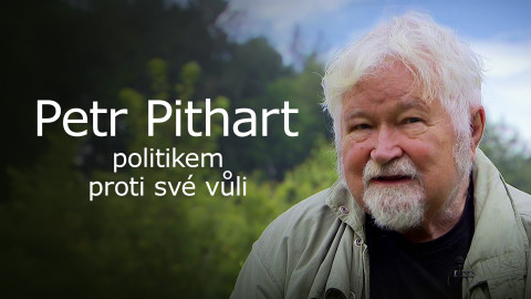 Petr Pithart, politikem proti své vůli
