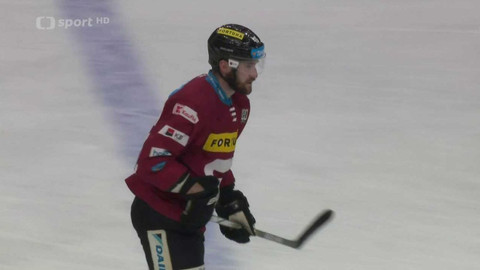 Buly hokej - Buly - souhrn