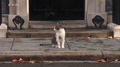 Zprávičky - 7. září 2022