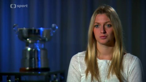 Fed Cup 2014 - Pohár pro všechny