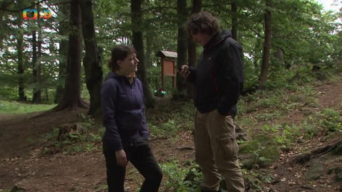 Záhady Toma Wizarda - Divoká hora