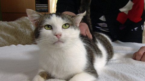 Chcete mě? - Chcete je?