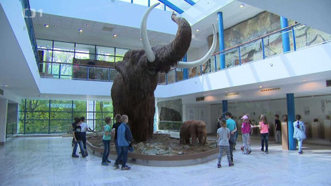 Týden v regionech (Brno) - 28. dubna 2018