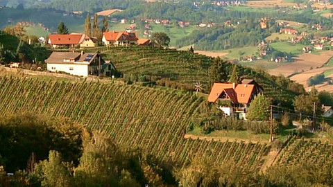 Postřehy odjinud - Štýrsko očima Marie Woodhamsové