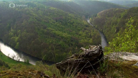 Minuty z přírody - Údolí Dyje