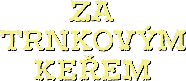 Za trnkovým keřem