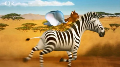 Nejmenší slon na světě - Proč je lepší běhat po svých