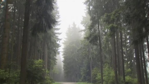 Přidej se - Minitendry NP Šumava