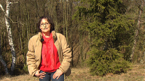 Chcete mě? - 15. dubna 2012