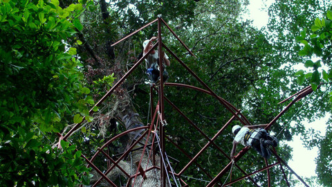 GEO 360° - Stromodům v Kostarice