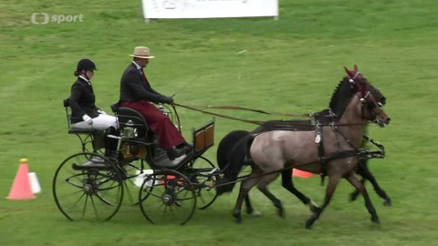 Jezdectví - M ČR spřežení Humpolec