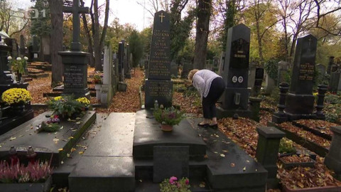 Z metropole - 7. listopadu 2020