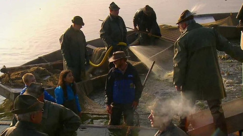 S Jakubem v přírodě - Výlov rybníka