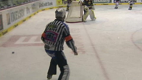 Buly hokej - HC VERVA Litvínov - Bílí Tygři Liberec
