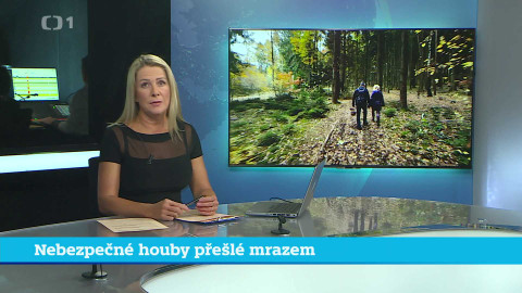 Události v regionech (jih a západ) - 24. října