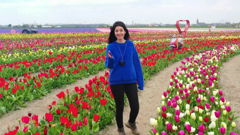 Evropa dnes - Nizozemsko v nejlepším světle