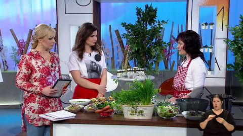 Sama doma - 13. března 2020