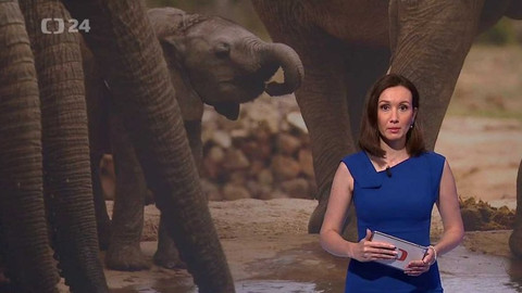 Horizont ČT24 - 7. července 2017