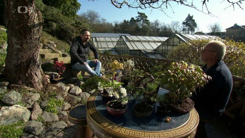 Polopatě - 18. dubna 2021