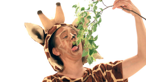 Dr. Žako - O opičím bludišti